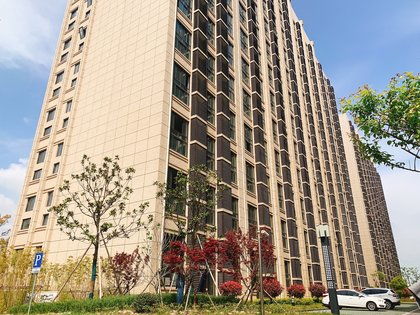 濱海之星優(yōu)點 不足,濱海之星怎么樣,濱海之星周邊房產(chǎn)中介經(jīng)紀(jì)人評價 上海安居客