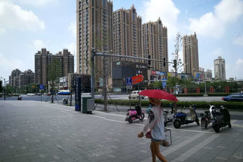 御上海青橙優(yōu)點 不足,御上海青橙怎么樣,御上海青橙周邊房產(chǎn)中介經(jīng)紀(jì)人評價