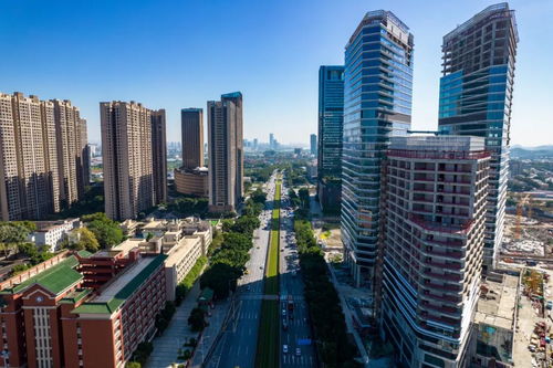 上海國(guó)際信托 信托業(yè)務(wù) 三分類 賦能構(gòu)建房地產(chǎn)發(fā)展新模式